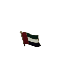 Nickel With Epoxy UAE Flag